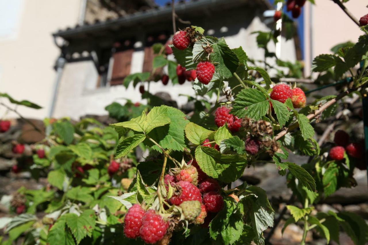 Villa La Caladette Les Plantiers Esterno foto